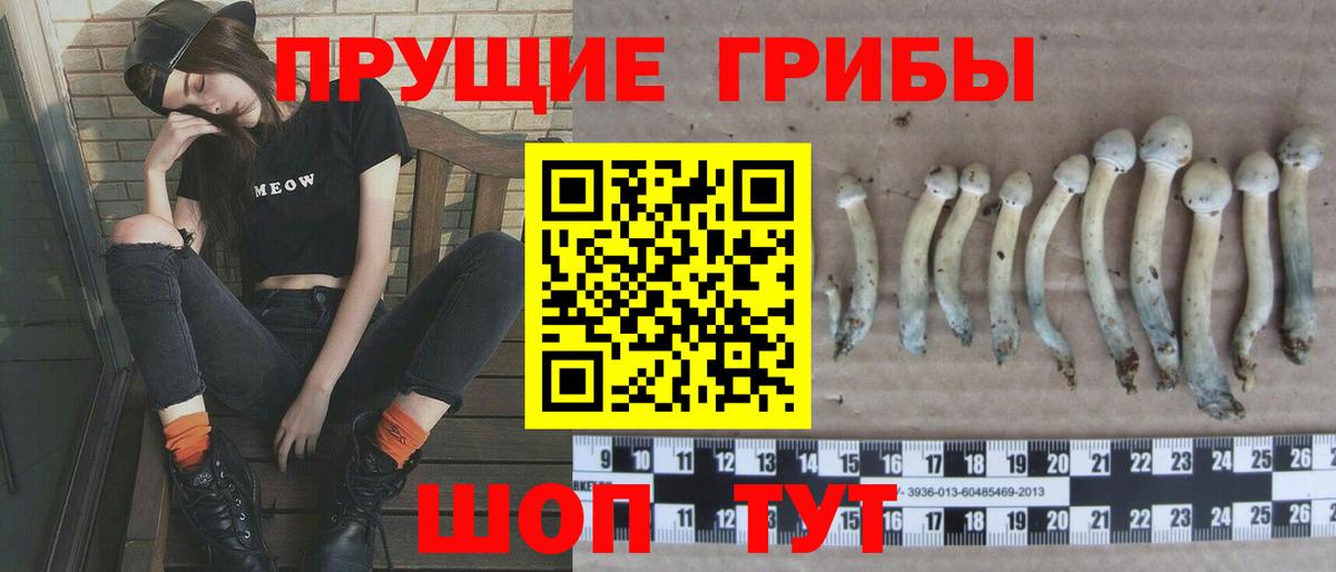 Псилоцибиновые грибы ЛСД Отрадный