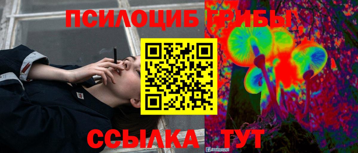 Псилоцибиновые грибы Cubensis  Псилоцибиновые грибы прущие грибы  купить наркотики цена  Отрадный  Вход с VPN 